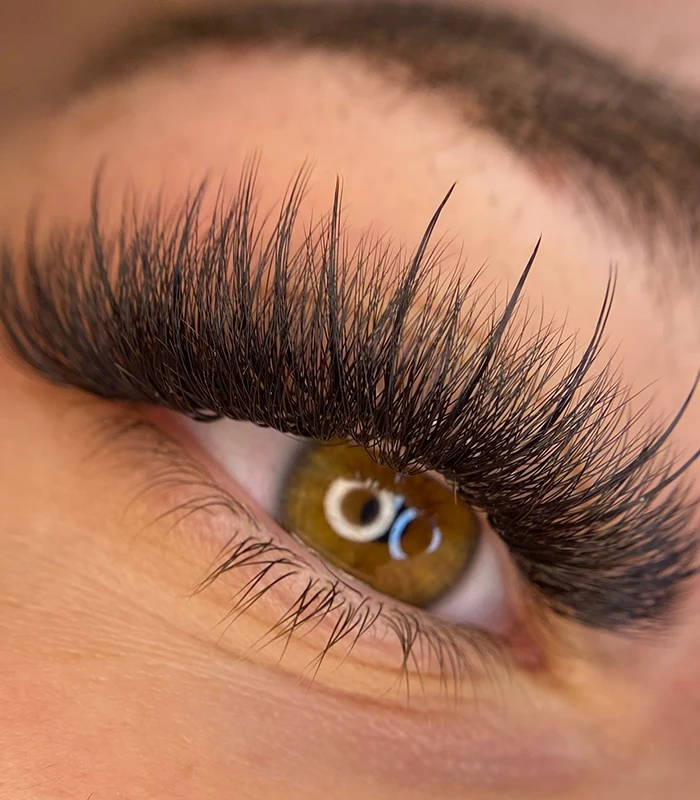 Eyelash Concept 1