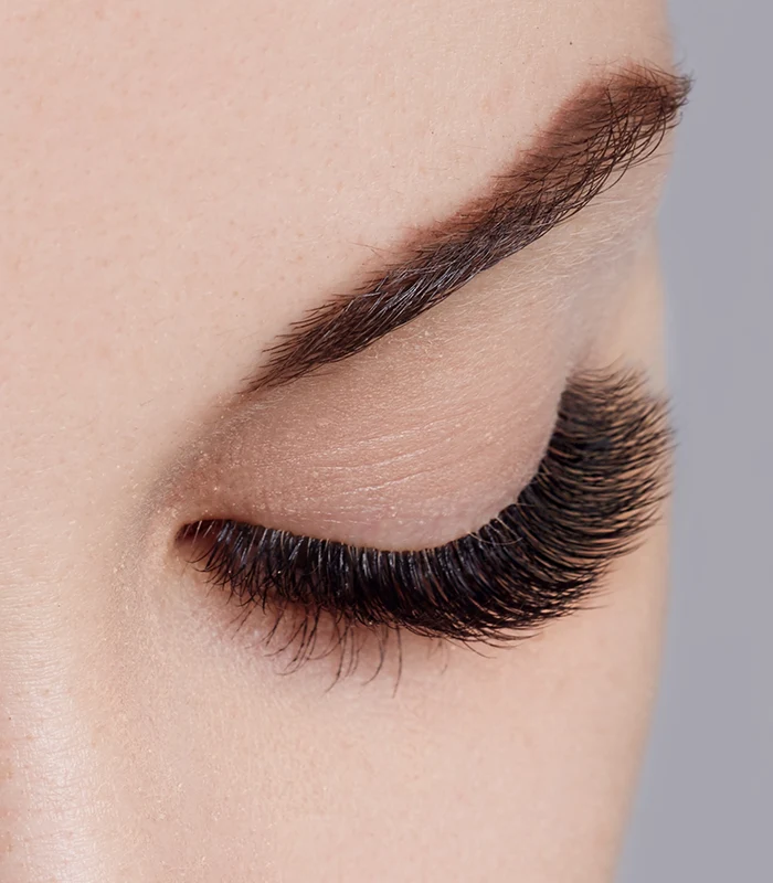 Eyelash Concept 3