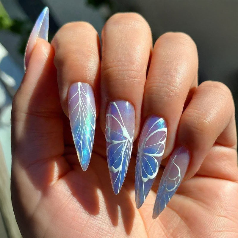 ✨ ✨